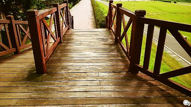 【相機】Sony Xperia Z Ultra攝錄體驗 功能評析