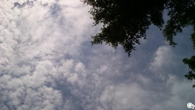 【相機】Sony Xperia Z Ultra攝錄體驗 功能評析