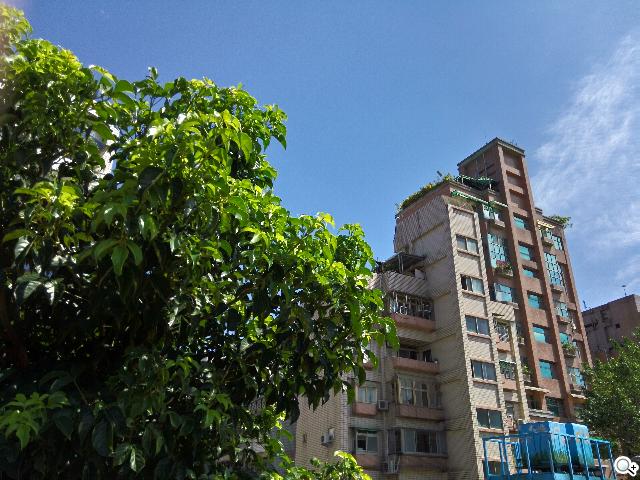 InFocus IN810平價級中高階智慧機 支援4G多頻段