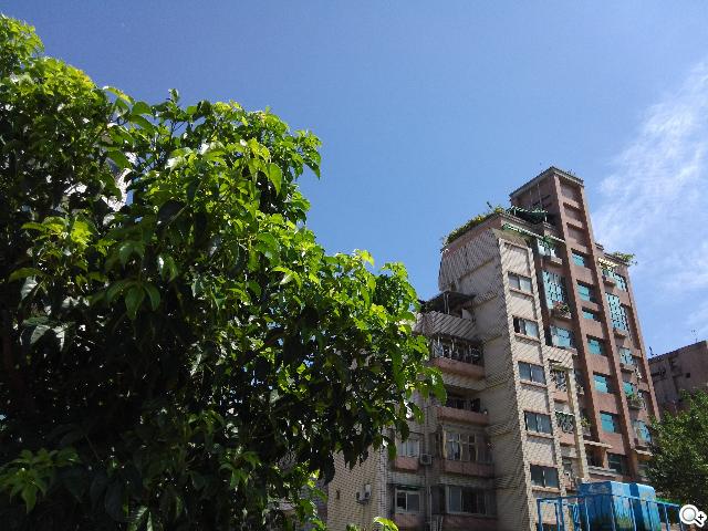 InFocus IN810平價級中高階智慧機 支援4G多頻段