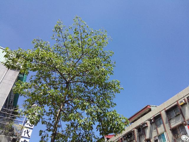 InFocus IN810平價級中高階智慧機 支援4G多頻段