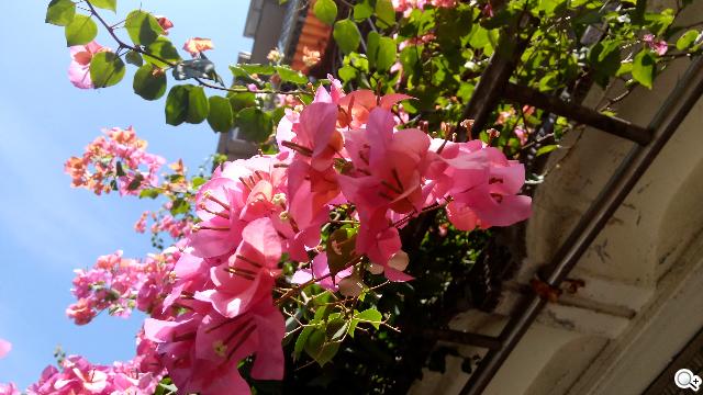 王建民加持！5.7吋、雙卡手機Acer Liquid S1