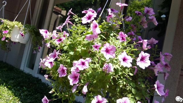 王建民加持！5.7吋、雙卡手機Acer Liquid S1