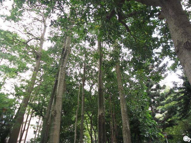 SAMSUNG S4 Zoom外型設計、實拍效果全測試