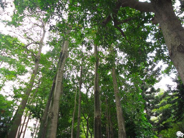 SAMSUNG S4 Zoom外型設計、實拍效果全測試