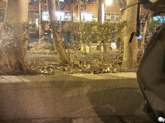 SAMSUNG S4 Zoom外型設計、實拍效果全測試