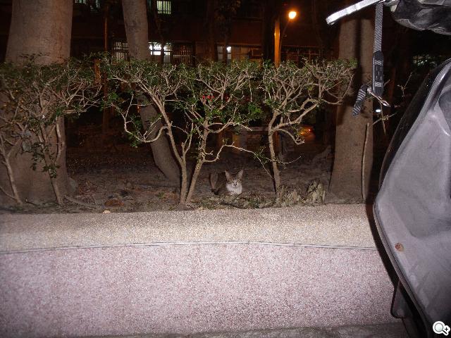 SAMSUNG S4 Zoom外型設計、實拍效果全測試