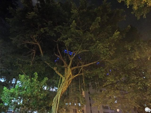 SAMSUNG S4 Zoom外型設計、實拍效果全測試