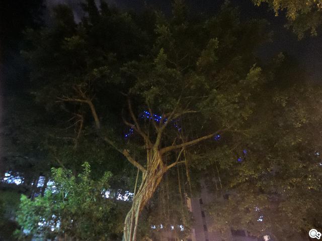 SAMSUNG S4 Zoom外型設計、實拍效果全測試