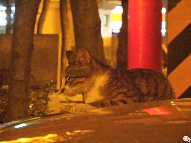 SAMSUNG S4 Zoom外型設計、實拍效果全測試