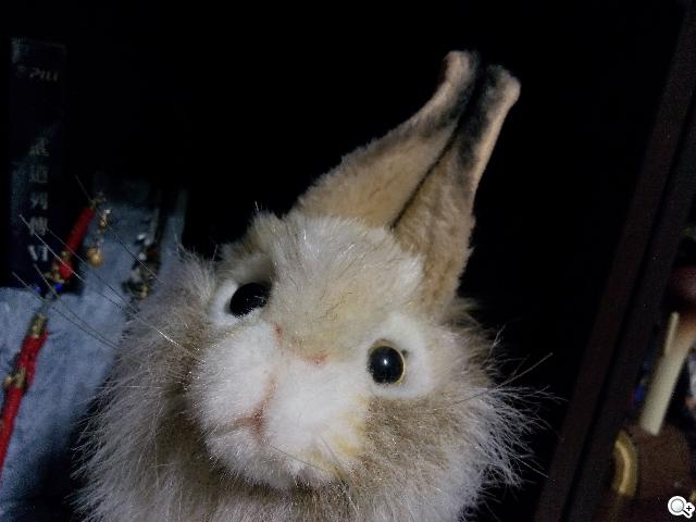 G-PLUS E6輕薄智慧機 配備MTK四核+2GB記憶體