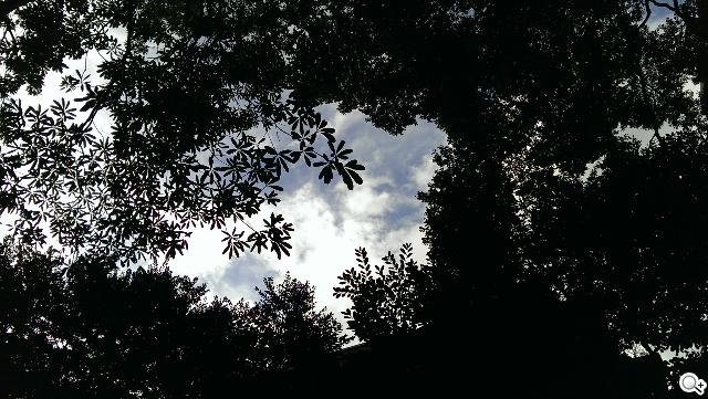 HTC One mini 旗艦功能 微縮迷你身型