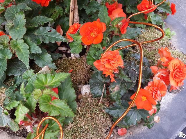 5.7吋+3GB RAM!SAMSUNG Note 3德國速測【IFA 2013】 5.7吋+3GB RAM!SAMSUNG Note 3德國速測【IFA 2013】