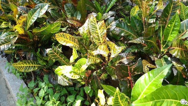 ASUS The New PadFone Infinity攝錄、功能全體驗 ASUS The New PadFone Infinity攝錄、功能全體驗