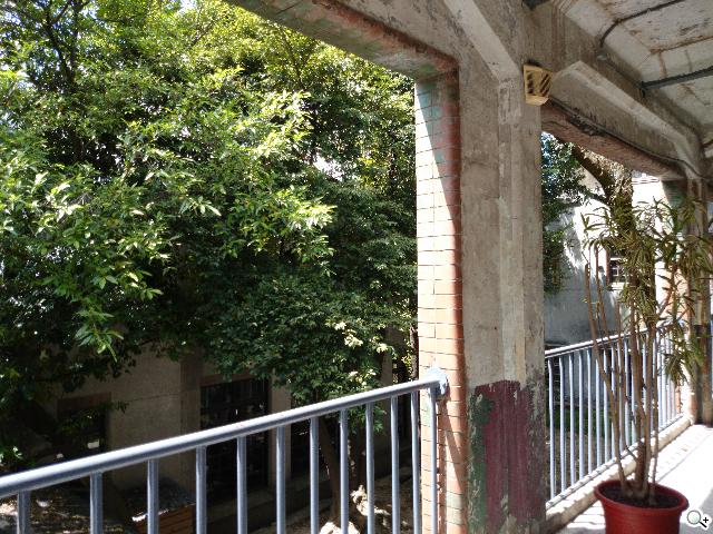 Sony Xperia Z1旗艦「G」鏡頭 攝錄功能總體檢