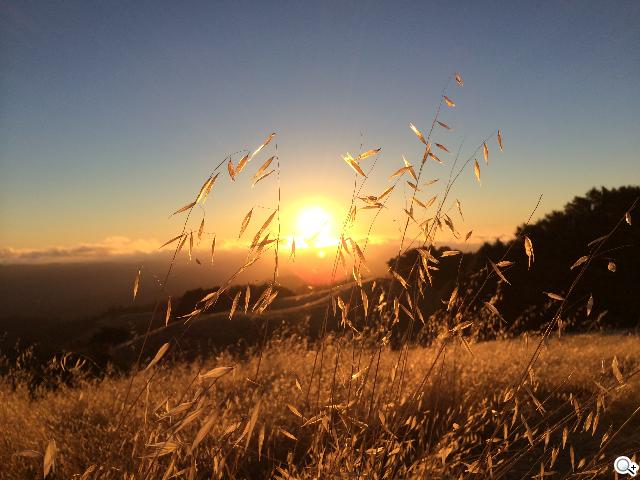 Apple釋出iPhone 5S相機實拍範例