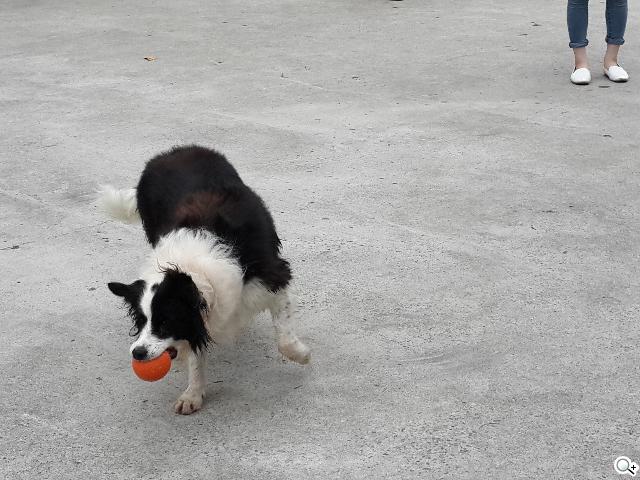 SAMSUNG Note 3外型、攝錄深度測試