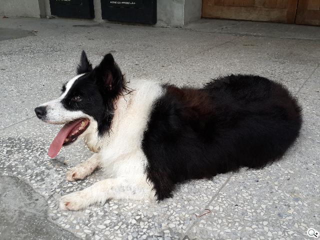 SAMSUNG Note 3外型、攝錄深度測試