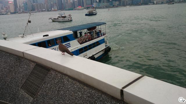 Sony Xperia Z1旗艦「G」鏡頭 攝錄功能總體檢