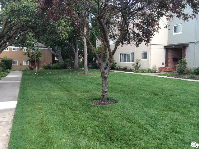 Apple iPhone 5S/5C 美國首賣開箱簡易測