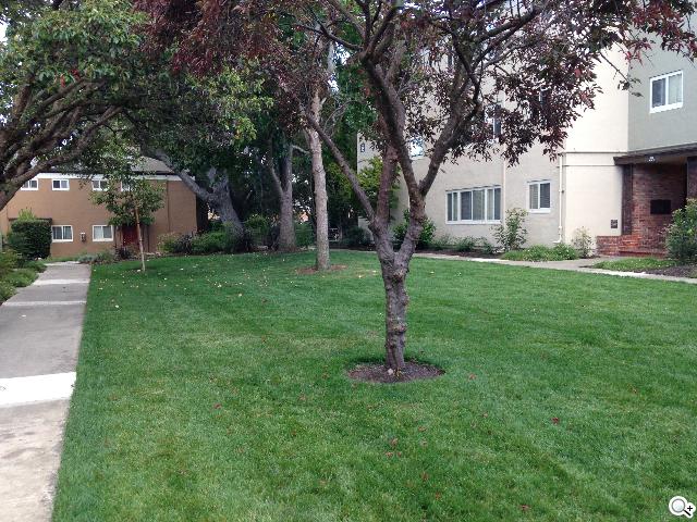 Apple iPhone 5S/5C 美國首賣開箱簡易測