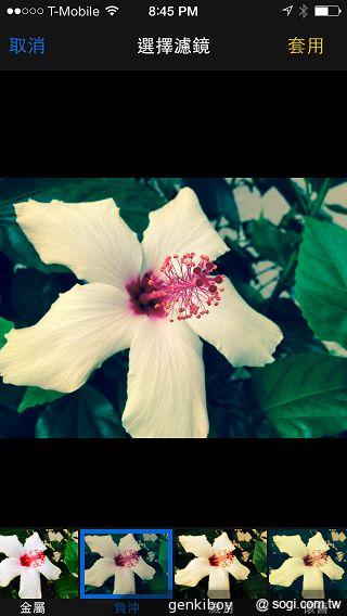 iPhone 5C 宛如裝上保護殼的蘋果手機