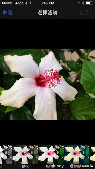 iPhone 5C 宛如裝上保護殼的蘋果手機