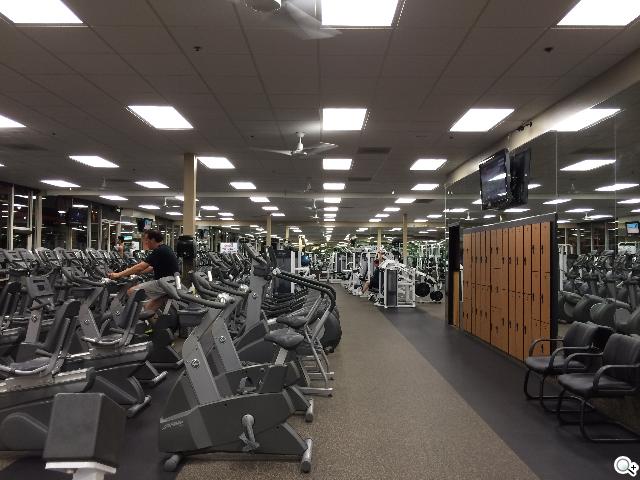 iPhone 5S外型依舊 全新視界更金彩！