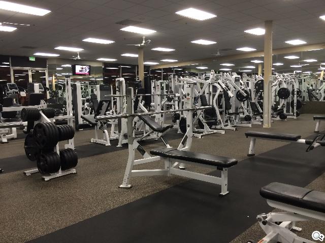 iPhone 5S外型依舊 全新視界更金彩！