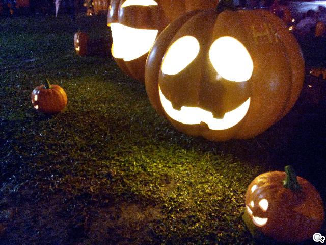 Sony Xperia C雙卡手機 自拍語音導引好逗趣