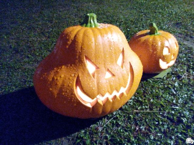 Sony Xperia C雙卡手機 自拍語音導引好逗趣