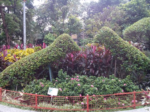 Sony Xperia C雙卡手機 自拍語音導引好逗趣