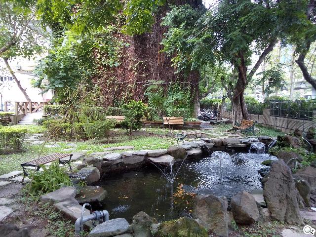 Sony Xperia C雙卡手機 自拍語音導引好逗趣