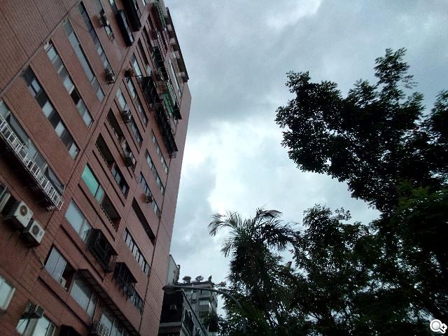 Sony Xperia C雙卡手機 自拍語音導引好逗趣