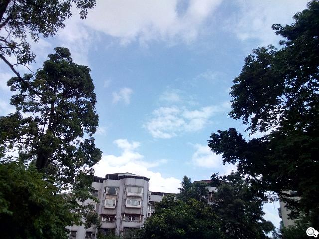 Sony Xperia C雙卡手機 自拍語音導引好逗趣