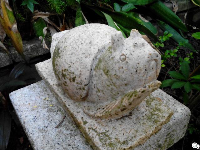 圓潤窄框四核雙卡手機 HUAWEI Ascend G610