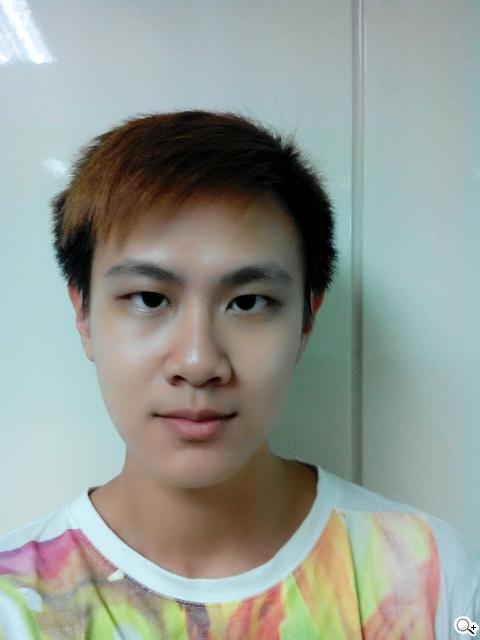 圓潤窄框四核雙卡手機 HUAWEI Ascend G610