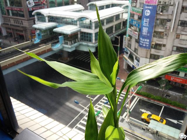 5.2吋樂金旗艦機皇LG G2 後置按鍵獨特體驗