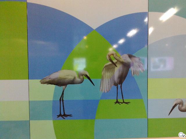 ASUS MeMO Pad 8平價優質8吋平板