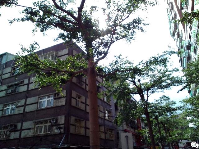 ASUS MeMO Pad 8平價優質8吋平板