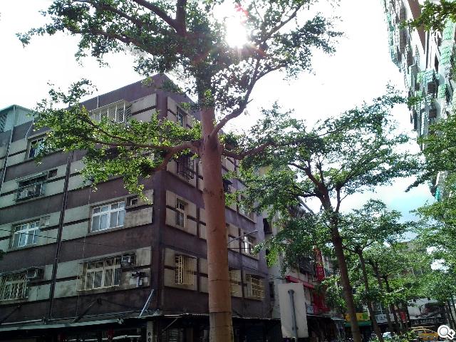 ASUS MeMO Pad 8平價優質8吋平板