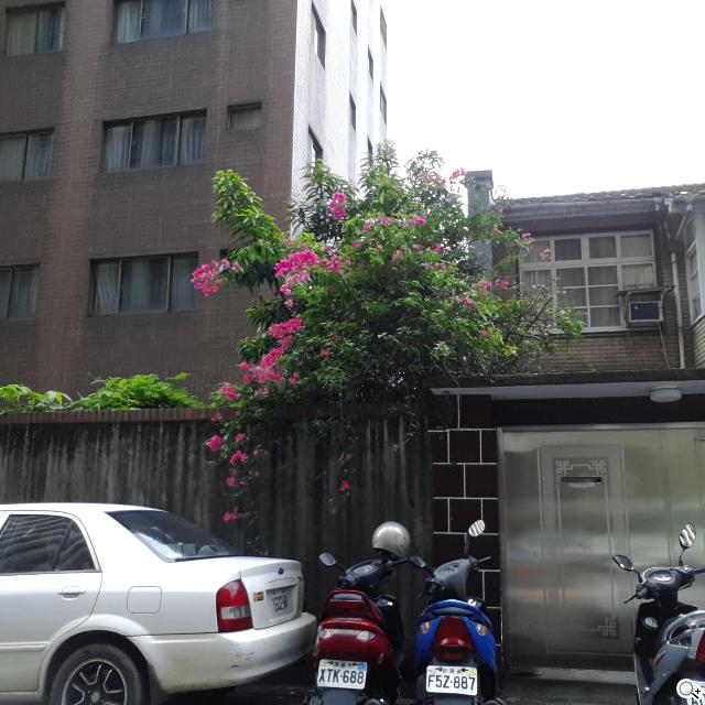 隨手聊、隨手紀錄貼身行動助理 Samsung GALAXY Gear