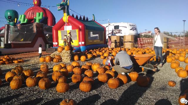 Moto 新紀元！Moto X 完整實測