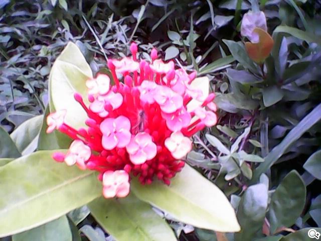 OPEN小將魔法變裝手機 超大電量的低價2G雙卡機