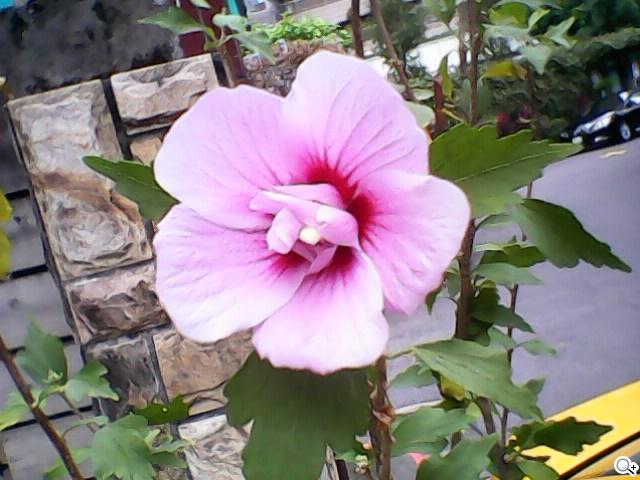 OPEN小將魔法變裝手機 超大電量的低價2G雙卡機