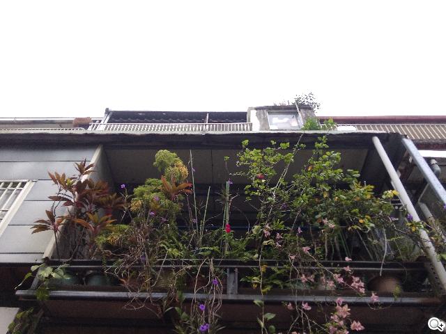 平板手機 跨界筆寫 ASUS Fonepad Note 6