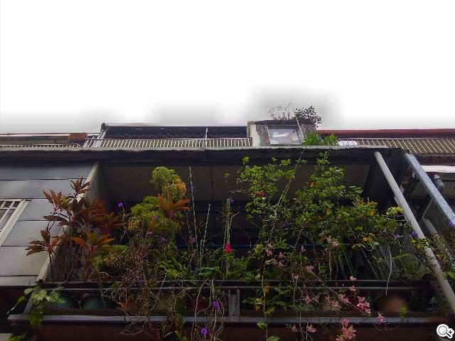 平板手機 跨界筆寫 ASUS Fonepad Note 6