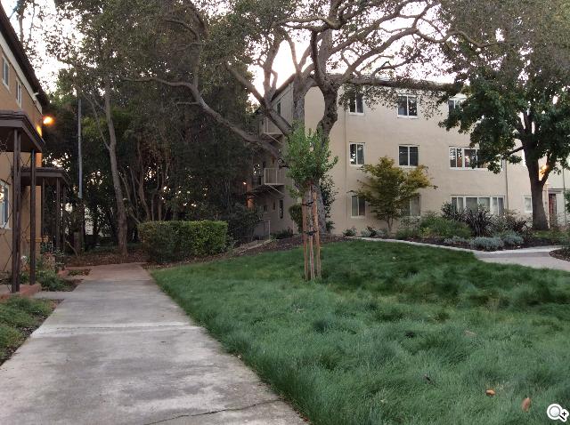 更輕、更薄、更快！Apple iPad Air開箱速測