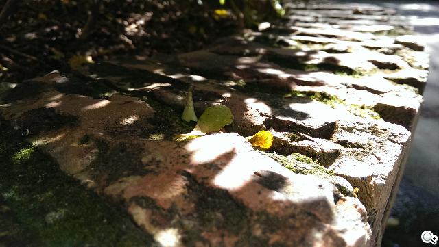 指紋辨識5.9吋金屬巨砲 HTC One Max實測