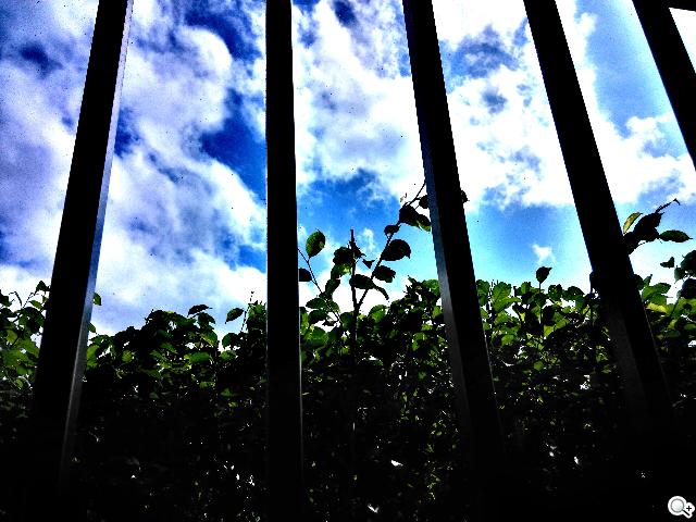 實現三方通話 GSmart Simba SX1大螢幕雙卡機